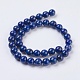 Natural Lapis Lazuli Beads Strands X-G-G423-10mm-A-2