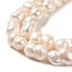 Natural Cultured Freshwater Pearl Beads Strands PEAR-E016-014-3
