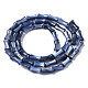 Natural Freshwater Shell Beads Strands SHEL-Q025-003A-2
