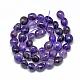Natural Amethyst Beads Strands G-R445-8x10-03-2