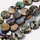 Natural Abalone Shell/Paua Shell Beads Strands X-SHS014-1