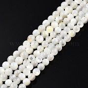 Нити из натуральных белых ракушек SSHEL-N003-144C-01