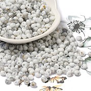 Выпечка краска стеклянные бусины SEED-F006-01A-09