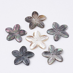 Cuentas de concha de labio negro natural, flor, 18~20x18~21x2mm, agujero: 1 mm