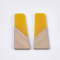 Подвески из смолы и ореха&nbsp;RESI-S358-83G