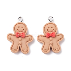 Подвески из непрозрачной смолы RESI-F030-12