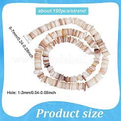 Shell perle naturali fili&nbsp;BSHE-WH0013-01