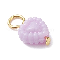 Pendentifs acryliques opaques&nbsp;PALLOY-JF04351-02
