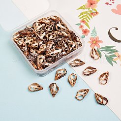Spirale Shell naturale perline&nbsp;BSHE-SZ0001-02