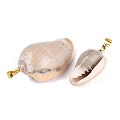 Ciondoli in ottone e conchiglia oliva naturale&nbsp;SHEL-Q029-22KCG
