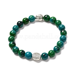 Synthetisches Chrysokoll & nicht magnetisches Hämatit-Stretch-Armband-Set für Männer-Frauen-Geschenk&nbsp;BJEW-JB06727