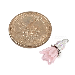 Жемчужина из абс-пластика с акриловыми подвесками PALLOY-JF03603