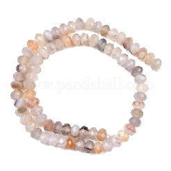 Природные Ботсвана агат бисер нитей&nbsp;G-C259-A21-5x8mm