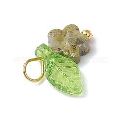 10 шт. подвески-цветы из натурального унакита&nbsp;PALLOY-JF03765-07