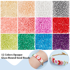 12 пакетик 12-х цветных непрозрачных стеклянных круглых бусин&nbsp;GLAA-PH0003-32