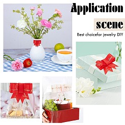 40 ярд полиэфирной ленты 4 цветов SRIB-CP0001-01