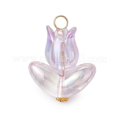 Подвески из акриловых бусин 6шт&nbsp;PALLOY-JF03023