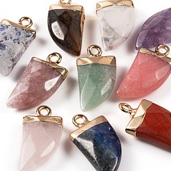 10 шт. 10 стиля подвески из натуральных драгоценных камней&nbsp;G-LS0002-14