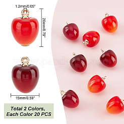 40шт 2 цвета пластиковые подвески KY-PH0001-64