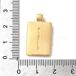 304ステンレスペンダント  星座のある長方形  14KGP本金メッキ  魚座  25x14x2mm  穴：2mm&nbsp;X-STAS-L022-306G-10