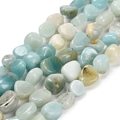 Натуральный цветок амазонитовые бусины пряди G-P568-C18-01