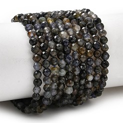 Природные иолит нитей бисера&nbsp;G-G343-B01-3mm