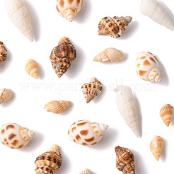 103.8 г подвески из натуральной спиральной ракушки в двух стилях SSHEL-FS0001-08