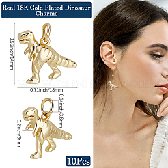 Латунные подвески с покрытием 10шт&nbsp;KK-BBC0017-14