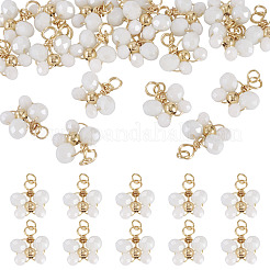 20шт стеклянные подвески&nbsp;PALLOY-TAC0214