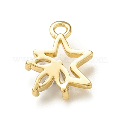 Подвески из прозрачного стекла KK-P228-11G