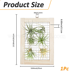 Support de suspension pour plantes aériennes en bois&nbsp;AJEW-WH0348-565