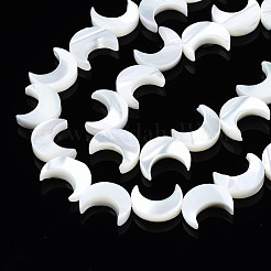 Нити бусин из натуральных трохоидных/трохус ракушек&nbsp;SSHEL-S266-025B-01