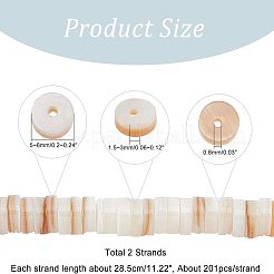 2 нить бусин из натуральных пресноводных ракушек BSHE-NB0001-17