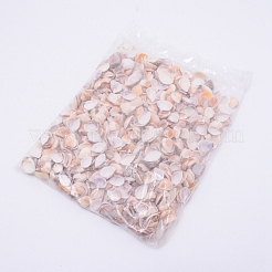 Натуральные раковины бисера SSHEL-WH0003-01