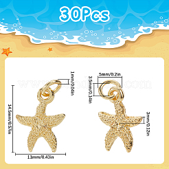 30 шт. подвески из гальванического сплава FIND-SC0012-41