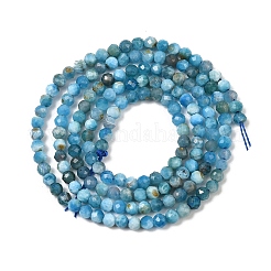 Природного апатита нитей бисера G-D347-A01
