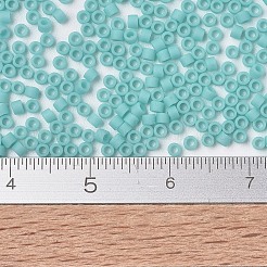 Miyuki Delica Perlen&nbsp;X-SEED-J020-DB1586