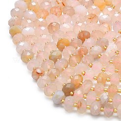 Натуральные вишневые агатовые бусины&nbsp;G-P573-A22-01