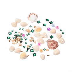 DIY павлин узор ракушка ракушка диск паста картина для детей DIY-P035-05