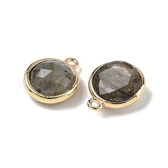 Плоские круглые ограненные подвески из натурального лабрадорита&nbsp;G-U028-03G-06
