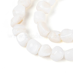 Нити бусин из натуральных пресноводных ракушек&nbsp;SHEL-N038-31