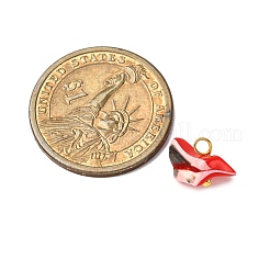 Подвески из окрашенных натуральных ракушек трохид/трохус&nbsp;PALLOY-JF04483-02