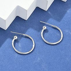 Латунь серьги EJEW-L245-001P