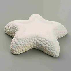 Керамическая тарелка для украшений в форме морской звезды AJEW-WH0041-95A