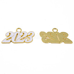 Подвески из эмали и сплава&nbsp;PALLOY-N160-85-G