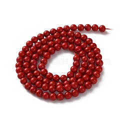 Fili di perline con guiscio&nbsp;BSHE-XCP0001-74B