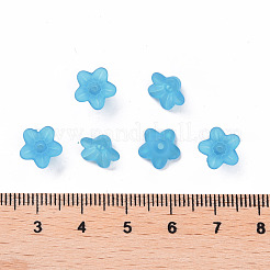 Прозрачные акриловые бусины&nbsp;PL554-10