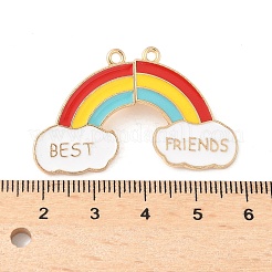 Сплав разноцветные эмалевые разделенные подвески&nbsp;PALLOY-V006-05G