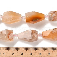 Натуральные вишневые агатовые бусины G-NH0005-B01-01