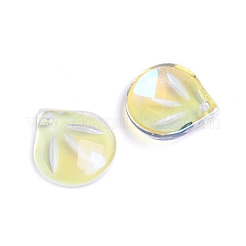 Transparente Glas Anhänger / charms&nbsp;GLAA-H016-05E-22